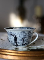 Ritkaság! Antik Villeroy & Boch Schramberg, fajansz csésze máz alatti levonóképes dekorral