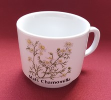 Seltmann Weiden Bavaria német porcelán csésze bögre kamilla virág mintával botanikai