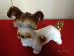 Német porcelán figura, kézzel festett kutya. Vanneki! Jókai.
