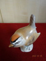 Aquincum porcelain figural statue, a rare bird, 7.5 cm high. He has! Jókai.