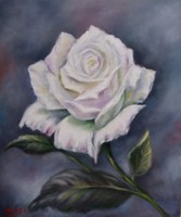 A rose, oil painting, 46 cm x 54 cm