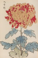 Hasegawa - Japán virágcsodák 05. - vászon reprint vakrámán