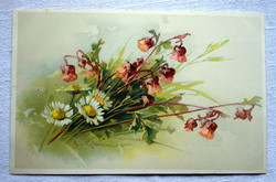 Antik Chatarina Klein üdvözlő litho képeslap  vadvirágok