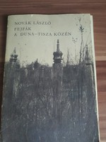 Novák László: Fejfák a Duna-Tisza közén