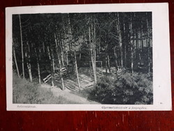 Balatonföldvár, gyermekjátszótér a fenyvesben -  futott képeslap 1939