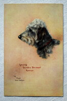 Antik M W Watson grafikus  üdvözlő képeslap  Dandie dinmont terrier