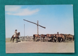 Hortobágy,Ménes,1975,postatiszta ,ló ,lovak ,tájkép