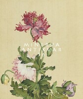 18. századi kínai selyem festmény reprint nyomata, mákvirág pipacs színvariációk