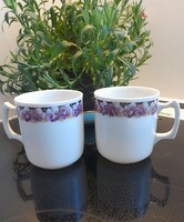 Wonderful union k Czech old mug pair with purple floral decoration