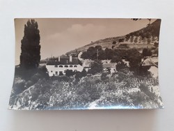 Régi képeslap 1957 Badacsony Szőlőhegy részlet fotó levelezőlap