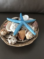 Tengeri csiga kagyló tengericsillag dekoráció kosárban