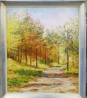 Doctor András (1939-): forest detail