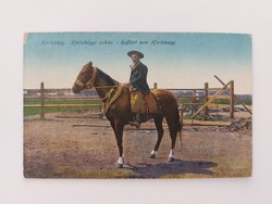 Régi képeslap fotó levelezőlap 1918 Hortobágy csikós ló