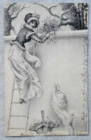 Antik MM Vienne Wichera grafikus üdvözlő képeslap hölgy létrán fagyöngyöt szed kutyus