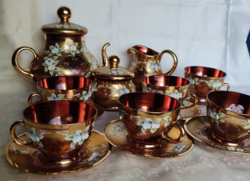 Rare! Bohemian tea set with richly gilded floral overlays