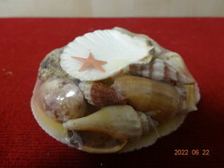 Assorted shells, in original packaging, diameter approx. 7.5 cm. He has! Jókai.