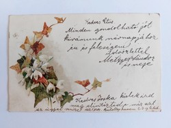Régi virágos képeslap levelezőlap hóvirág borostyán
