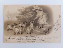 Régi dombornyomott képeslap 1900 levelezőlap kislány kiskutyák