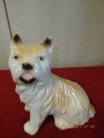 Német porcelán figura, világosbarna szőrű kutya. Vanneki! Jókai.