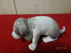 German porcelain dog, gray spotted. Vintage lladro puppy. He has! Jokai.