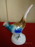 Foreign porcelain, serial number: 10086, gold pheasant. He has! Jokai.