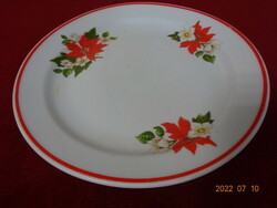 Zsolnay porcelain small plate with poinsettia. He has! Jokai.