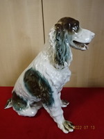 Román porcelán figura, Cocker spániel kutya. Vanneki! Jókai.