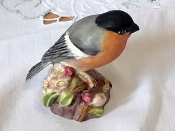 Angol porcelán madár. Pirók.