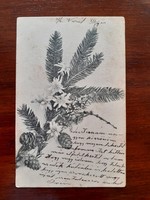 Régi karácsonyi képeslap fenyőágas levelezőlap