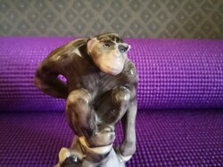 Very rare!! Porcelain chimpanzee from Herend, designed by tibor bruck