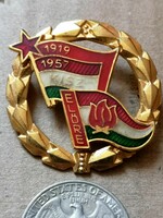 Pioneer - Golden Wreath Pioneer Leader Badge 2