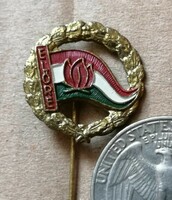 Pioneer - pioneer flag in a wreath badge 2