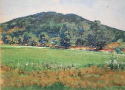 Novák f. Watercolor, 1918 - flower field on the hillside - landscape (30x38 cm)