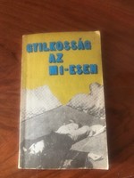 Tamás Moldován: murder in the m1-esen book. 1979. A peaceful sensation.