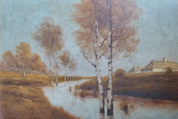 Birch trees in the stream with 