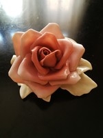 Nagy ENS rózsa - 10 cm