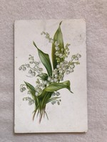 Antik, régi Gyöngyvirágos litho képeslap