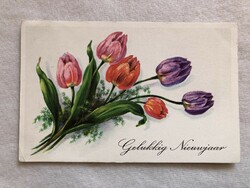Antik, régi Tulipán virágos képeslap