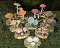 Gombák szemléltető tárgyak 12 db szakértői hagyatékból