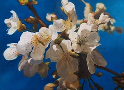 "Cseresznyevirág" 50x70 Olaj, vászon