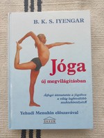 Iyengar - yoga in a new light