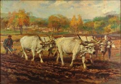 1K341 Károly Cserna: plowing with oxen