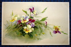 Antik Chatarina Klein üdvözlő litho képeslap mezei virágok