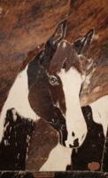 Argentin iparnűvész alkotása :Ló bőrkép