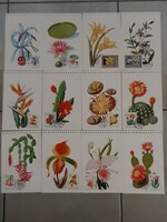 RITKASÁG!1965-ös kiadású elsőnapi pecséttel Botanikus Kertek Virágai bélyeg sorozat levelezőlapokon