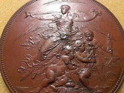 Bronze medal and plaque of the national industry association. 1907. 51 grams. 53mm.