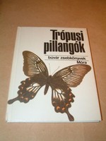Trópusi pillangók (búvár zsebkönyvek)