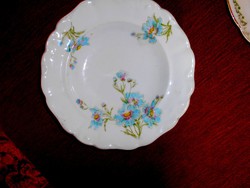 Antique porcelain plate with cornflower pattern 23 cm