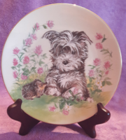 English plate with dog for user Vacskamati69 ii. (L2975)
