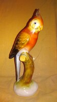 Porcelán bóbitás papagáj 26 cm